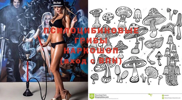 героин Тавда