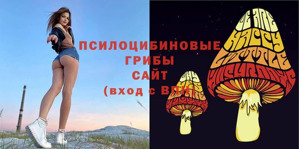скорость Сясьстрой