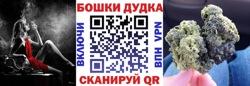 Бошки Шишки AK-47  Торопец 